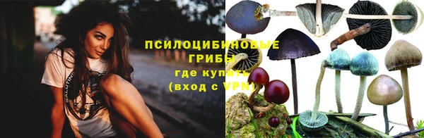 спайс Алексеевка