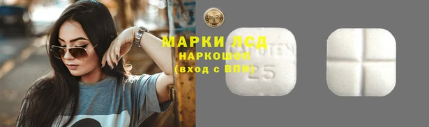 PSILOCYBIN Армянск