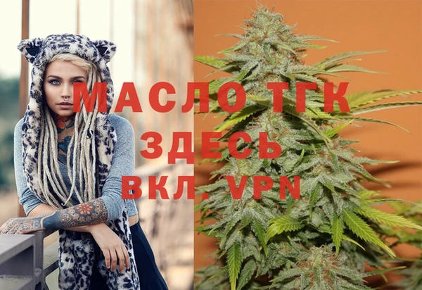 индика Аркадак