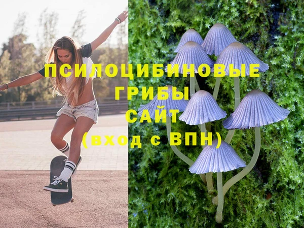 хмурый Алексин
