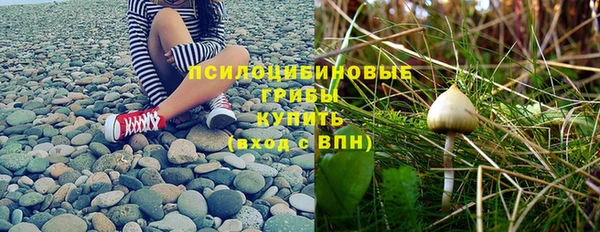 каннабис Арсеньев