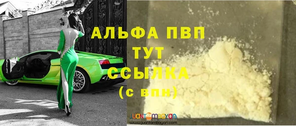 индика Аркадак