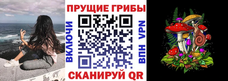 Псилоцибиновые грибы MAGIC MUSHROOMS  Волгодонск 